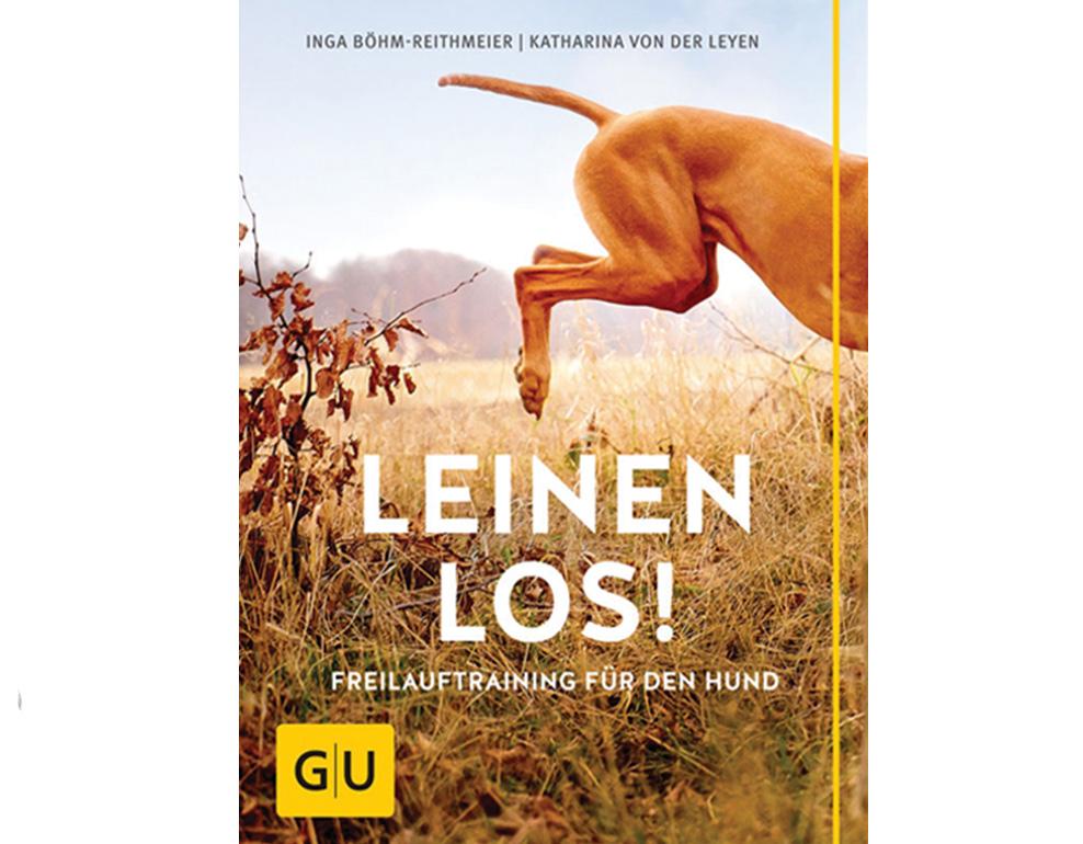 Aus dem Profil von Inga Böhm-Reithmeier